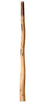 Wix Stix Opal Didgeridoo (WS221)